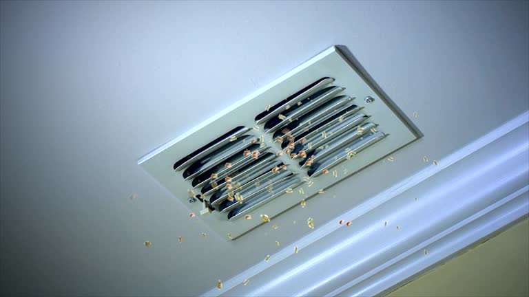 Trusted Galliano, LA Airduct Cleaning Experts
